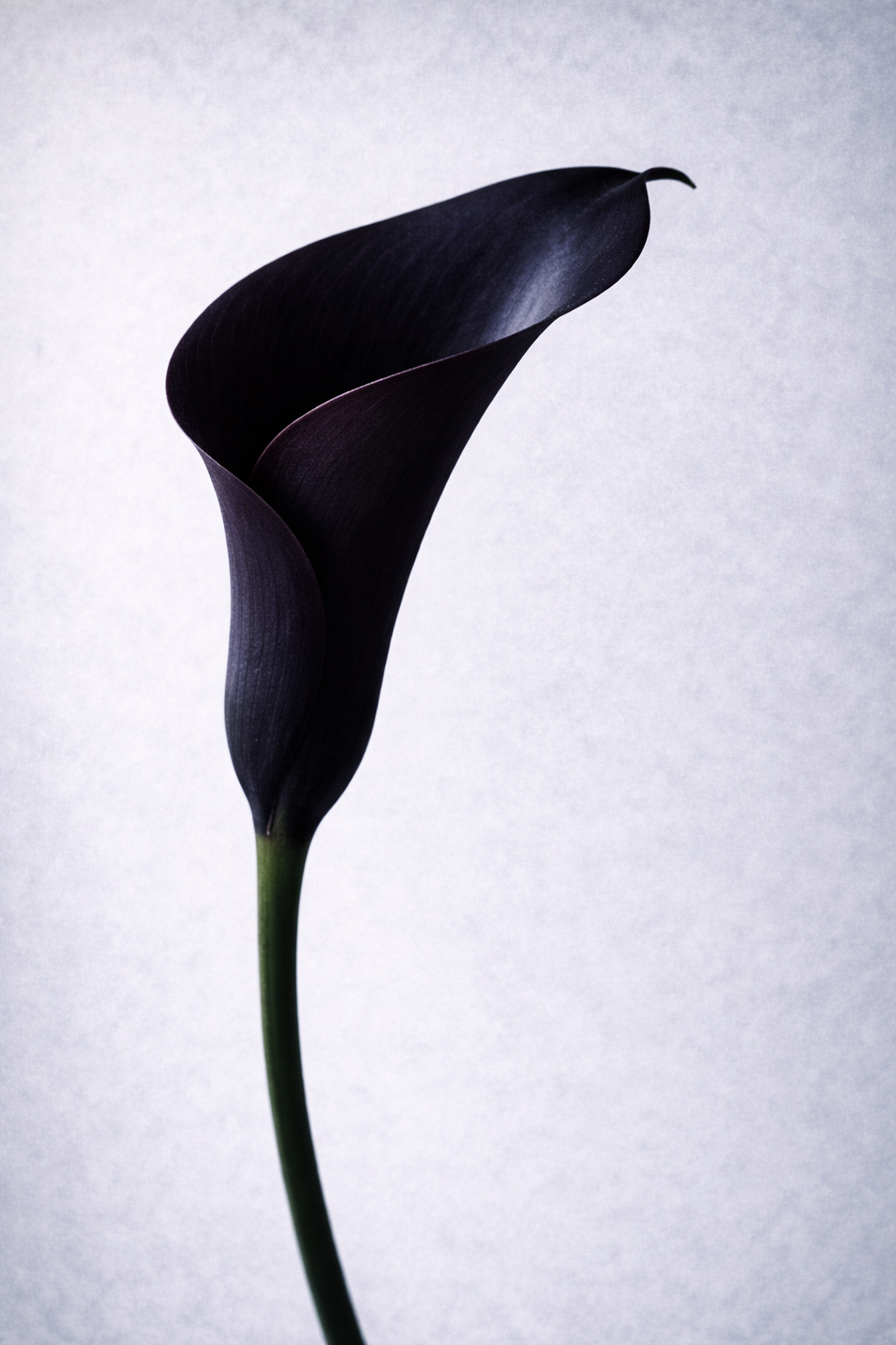 ChatGPT Image Jan 5, 2026, 10_59_53 PM